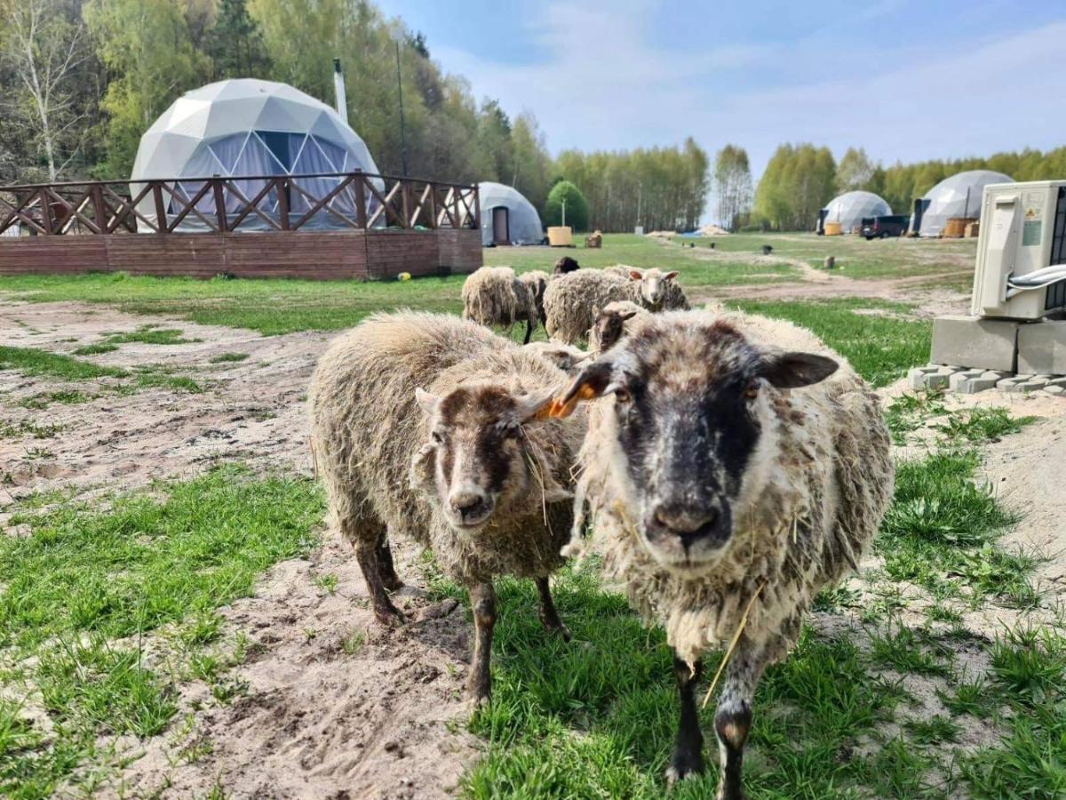 Ranczo Panderossa Villa Szczecinek Luaran gambar